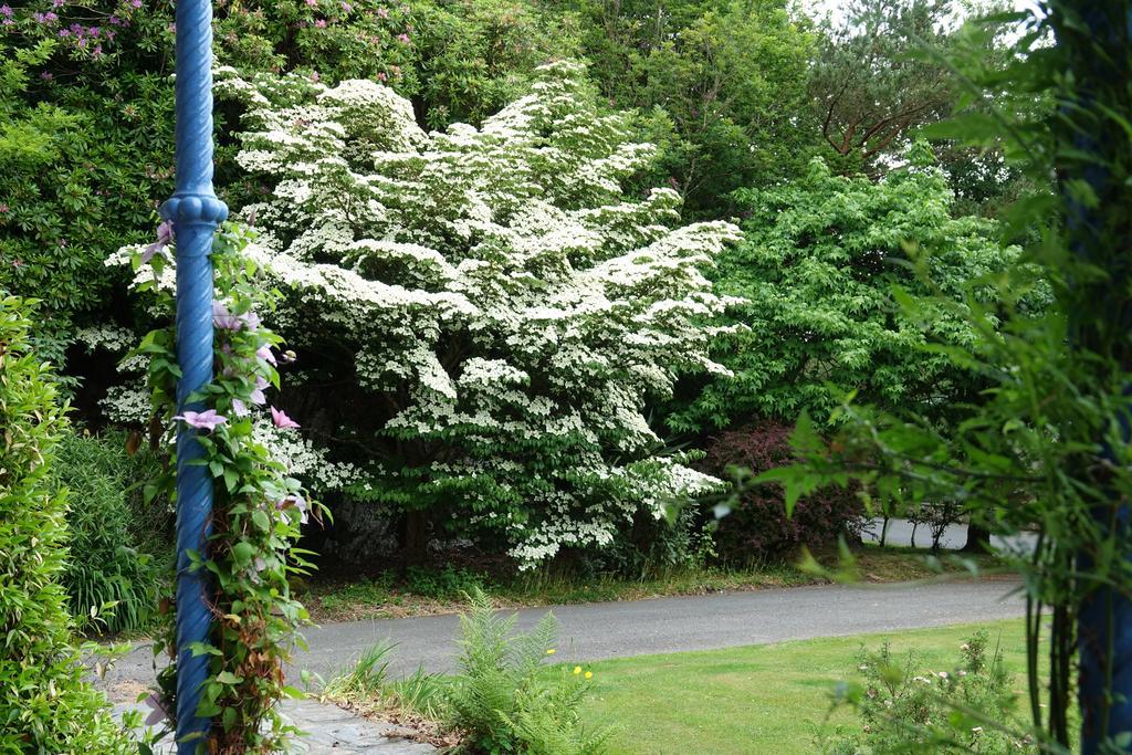 Borthwnog Hall Dolgellau Exterior foto